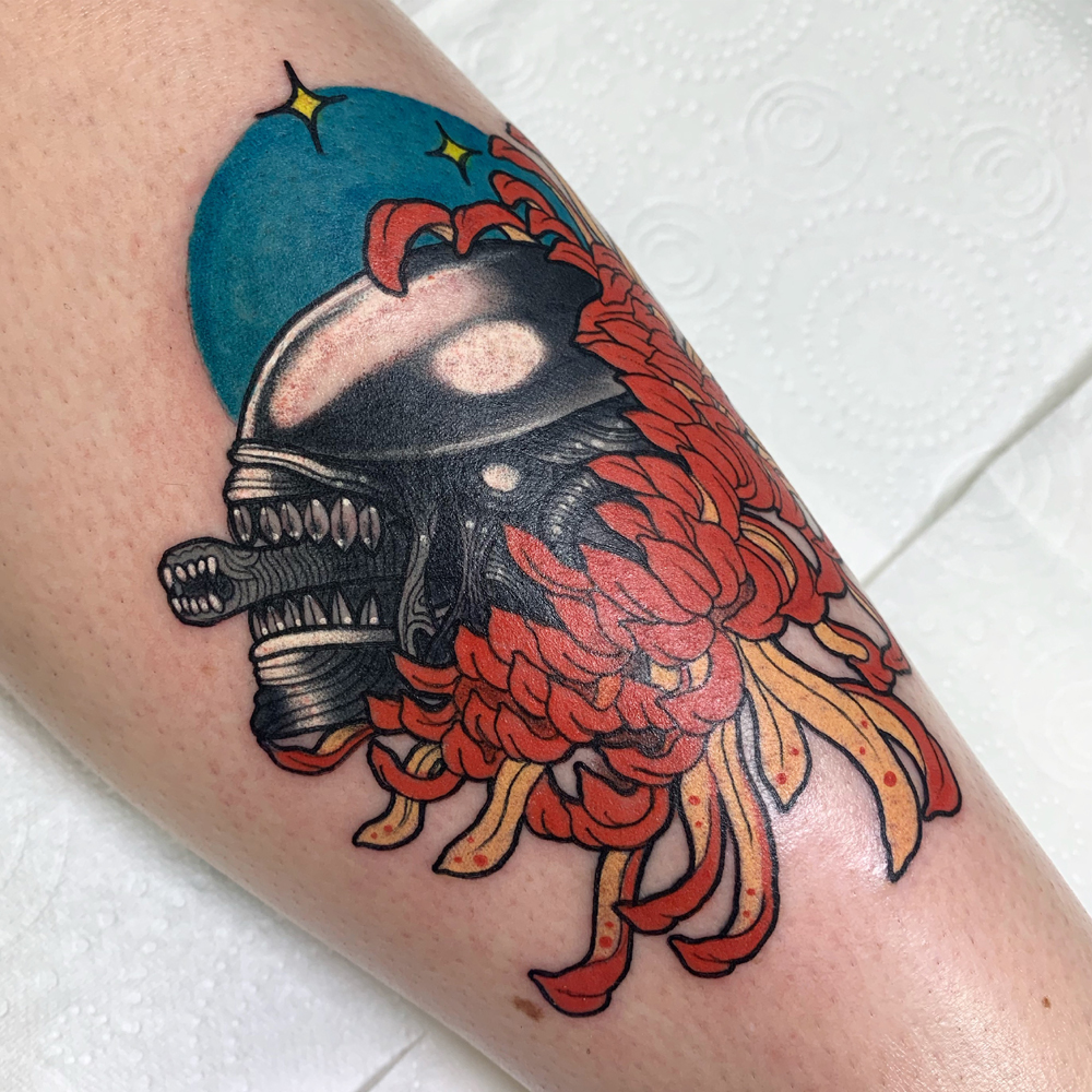 Liz's Work