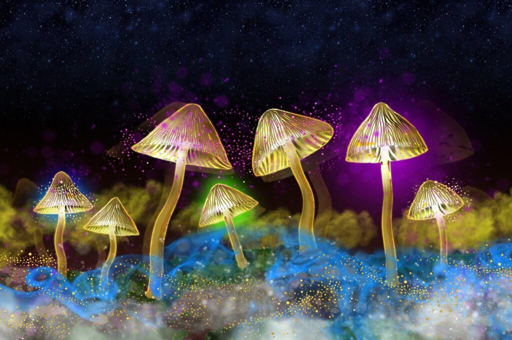The Science of Psychedelics with Dr. Chris Timmermann