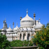 Study Day: Gardens for Tomorrow at the Royal Pavilion & Garden
