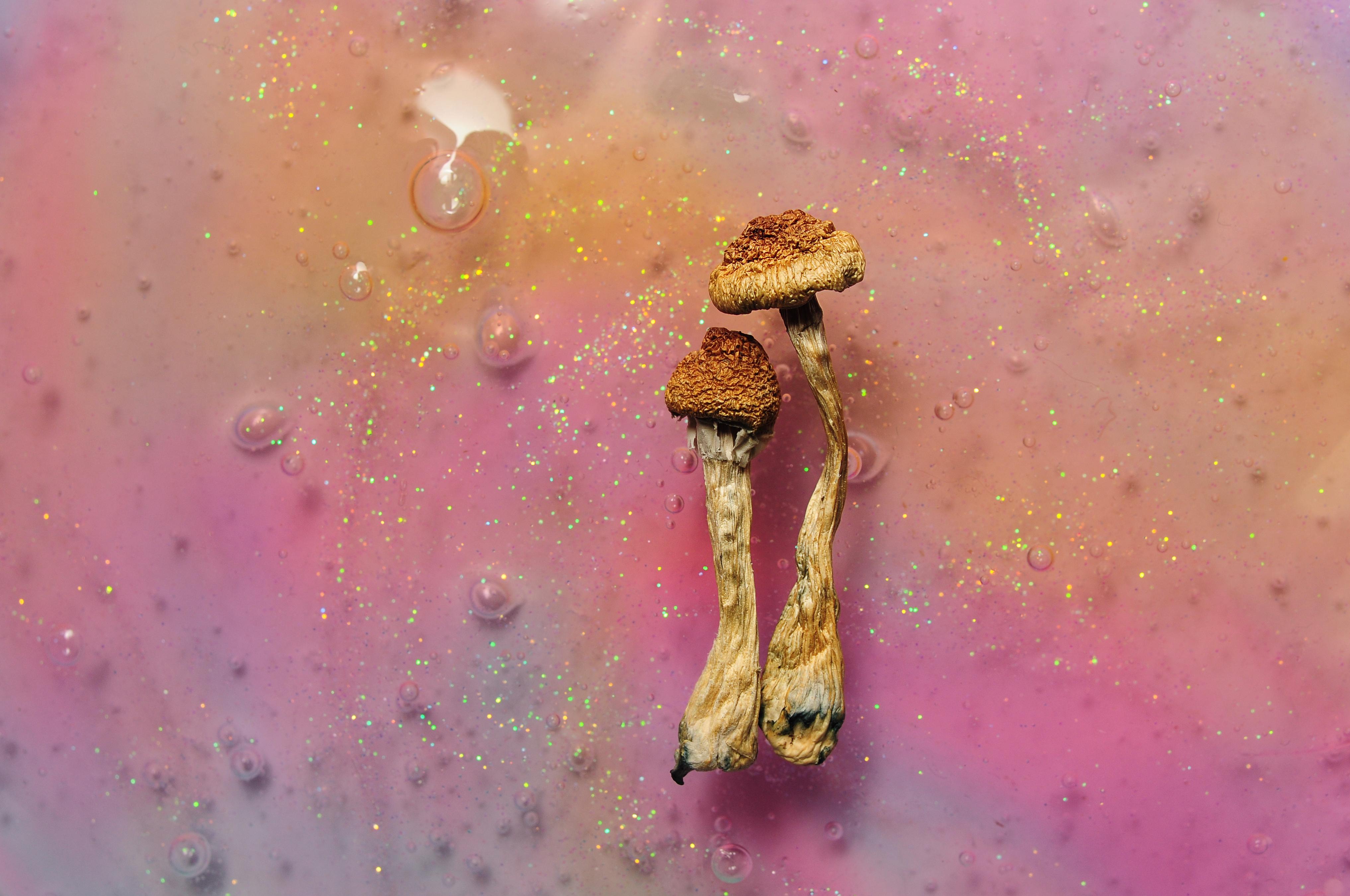 The Science Of Psychedelics The Future Of Mental Health Brighton 
