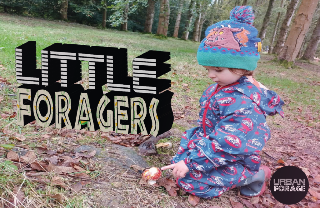 LITTLE FORAGERS – KIDS ROCK POOLING – BRIGHTON – October HALF TERM HOLIDAYS