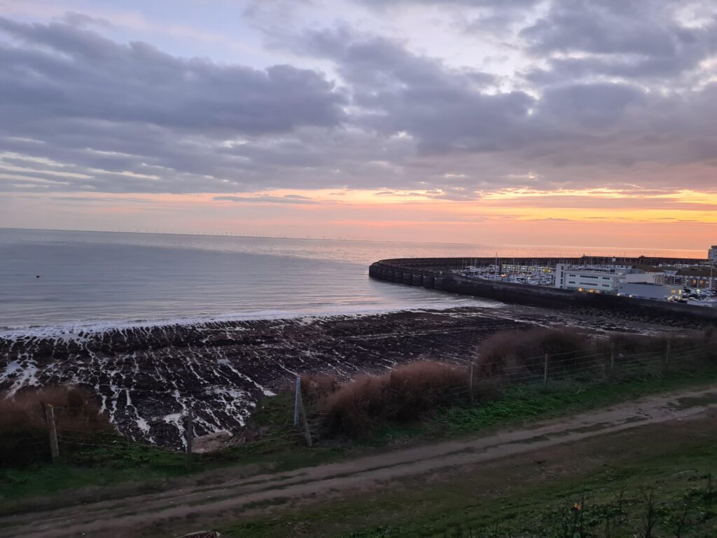 Coastal Foraging Workshop – Brighton – Sea Vegetables and Sea Weed. SUNDAY