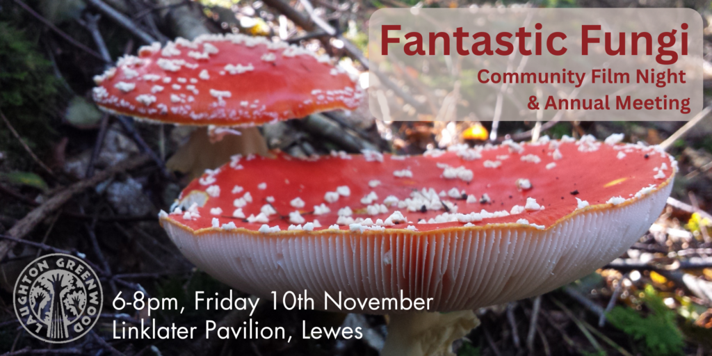 Fantastic Fungi – Community Film Night and Annual Meeting