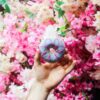Underground Donut Tour: Brighton Holiday Tour!