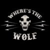 CM WOLF & THE BACKBONES