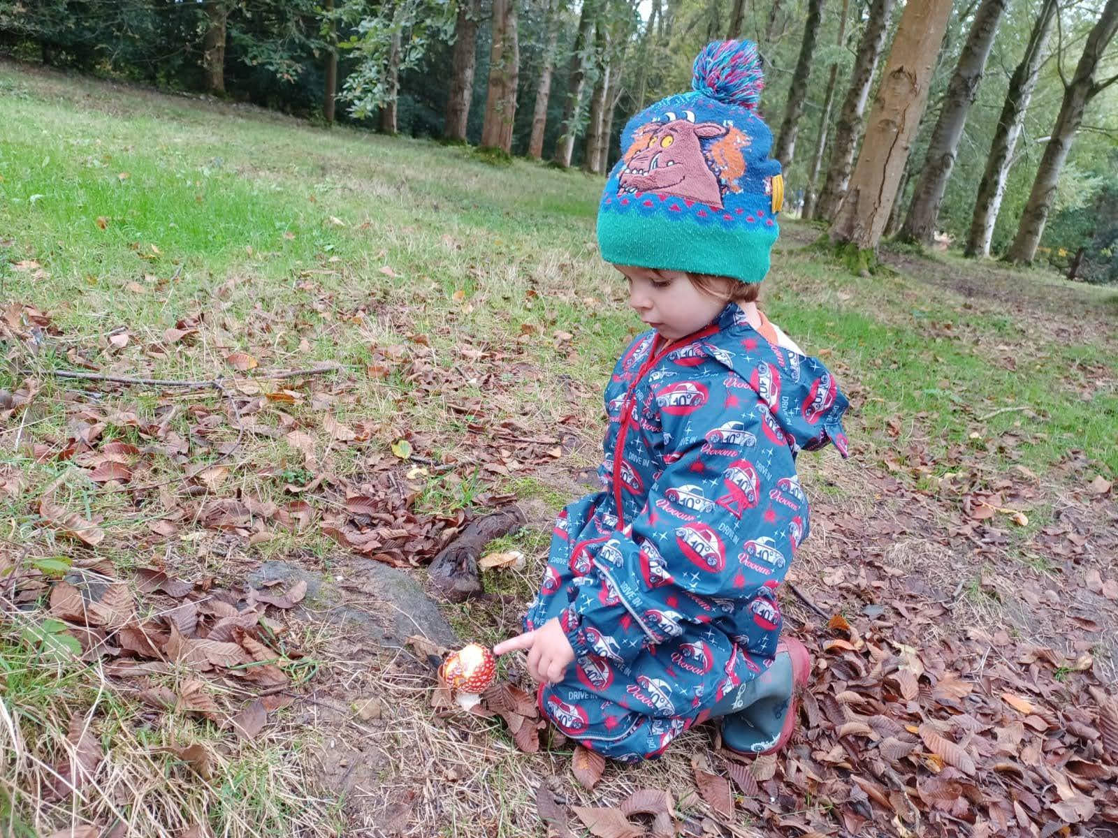 LITTLE FORAGERS - Making Mushroom Art! - BRIGHTON HALF TERM HALLOWEEN