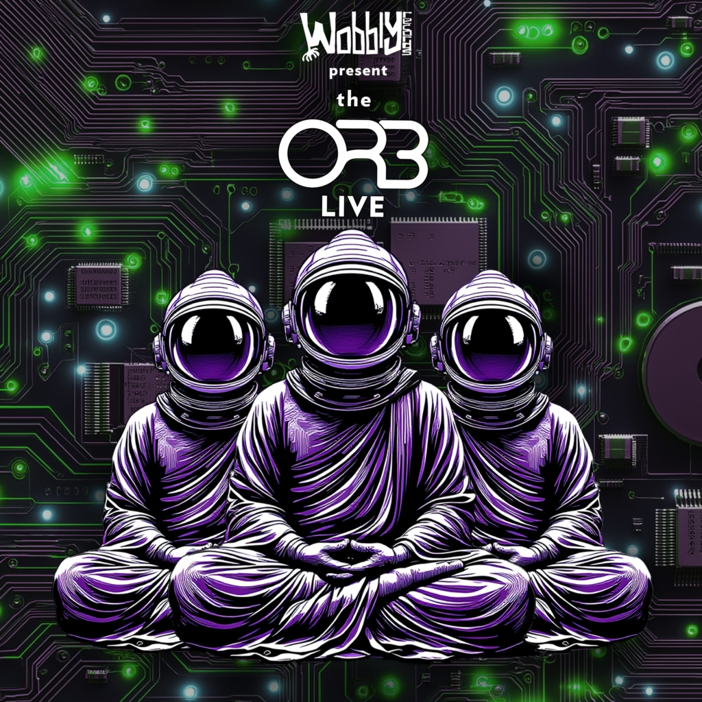 HOT PICKS: The Orb: Live At Patterns