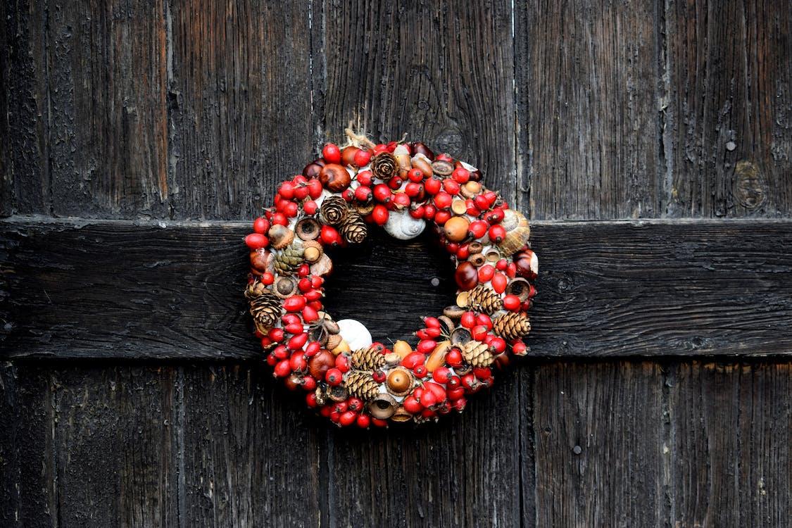 Foraged Christmas Wreath Making with Foraged themed Tea and Cakes Brighton