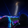 WILD: The Drone Light Show