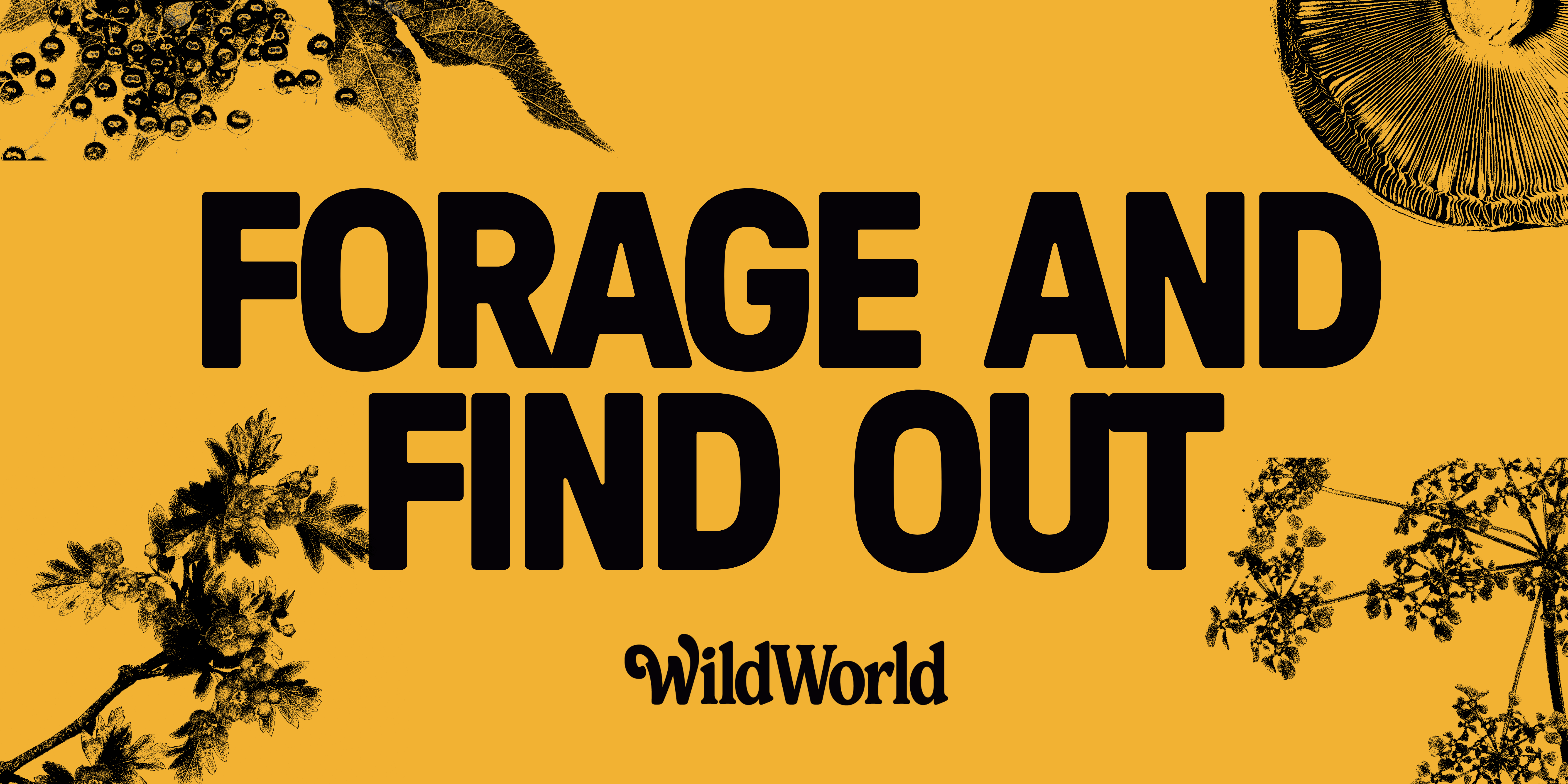 Forage and Find Out | Winter's End | Brighton