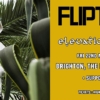 Fliptrix ‘Elevation’ Album UK Tour – BRIGHTON