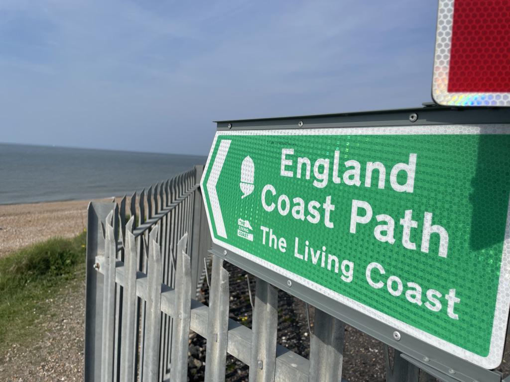 Spring guided foraging ID walk with a focus on coastal plants