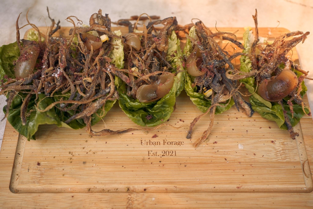 Forage and Feast Forage walk with Wild Lunch, Brighton Foraging. Vegan