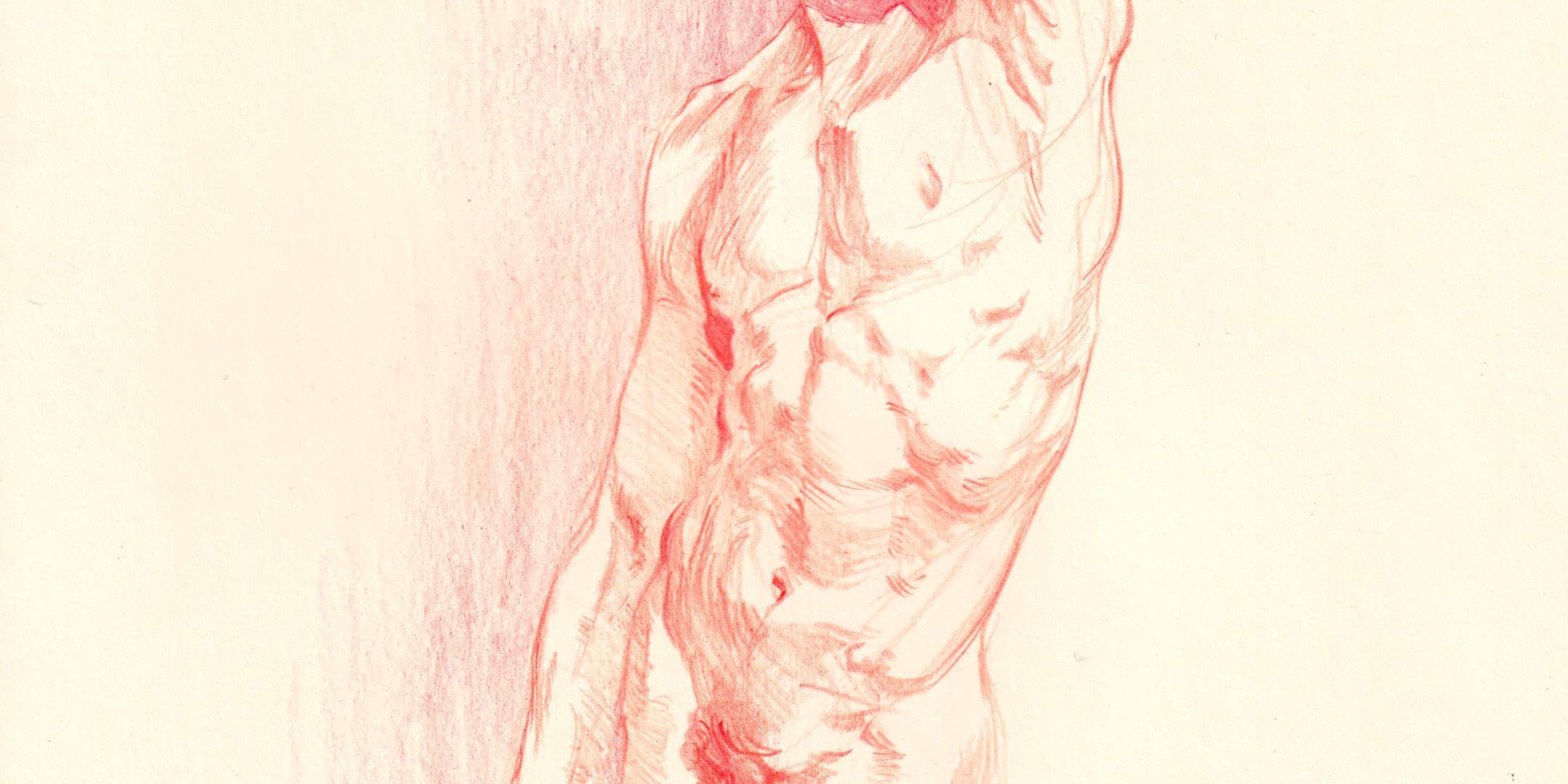 Tutored Life Drawing - The Torso and Back