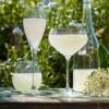 Making Elderflower Cordial and Champagne Forage Workshop Brighton