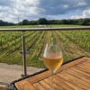 English Wine & Cheese Tasting English Wine & Cheese Tasting