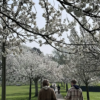 Community Mindful Walk in Hove Park, Brighton Community Mindful Walk in Hove Park, Brighton