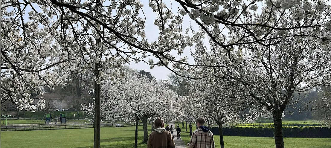 Community Mindful Walk in Hove Park, Brighton