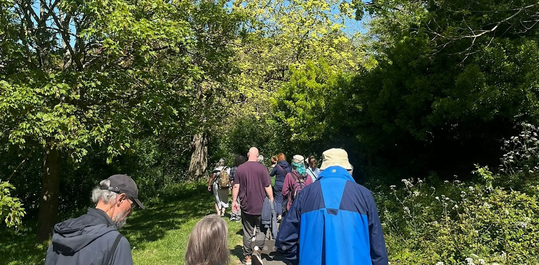Community Mindful Walk in Queens Park, Brighton