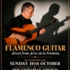 Juan Diego Mateos - Flamenco Guitar, direct from Jerez