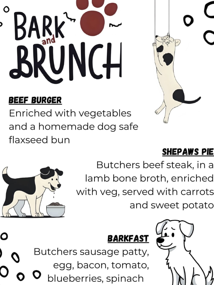 Bark brunch