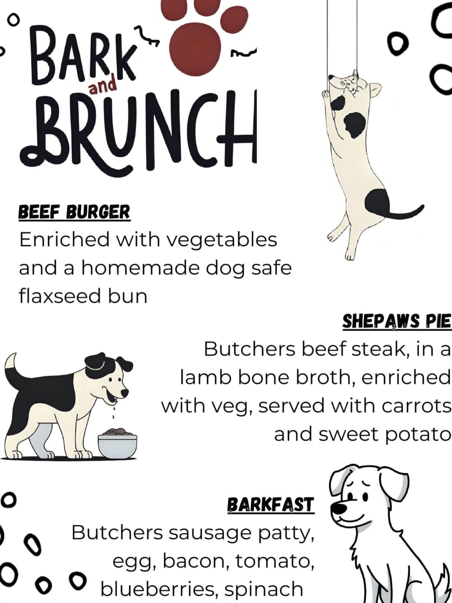 bark-brunch
